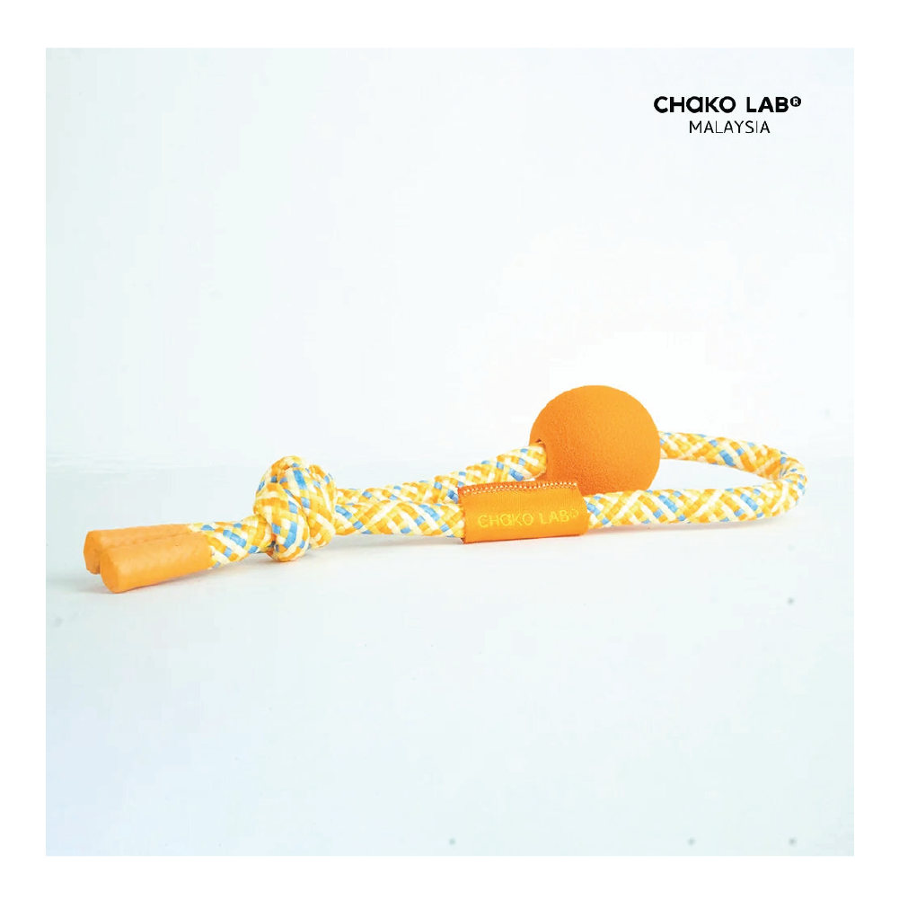 CHAKOLAB MilkMate Handle Tumbler – Orange