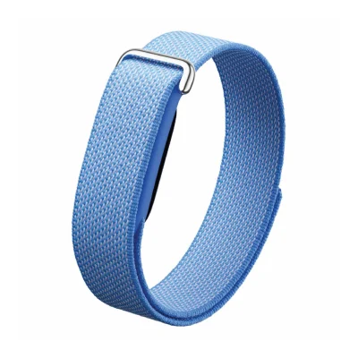 Google Fitbit Pro – Lavender