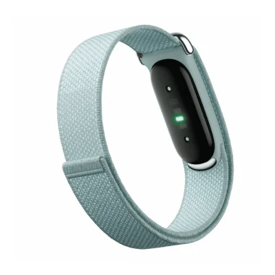 Google Fitbit Air – Fog